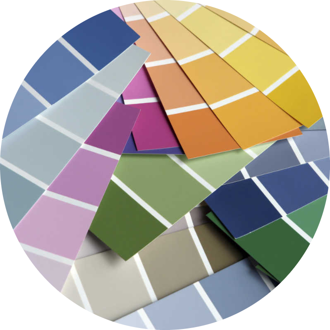 Five-Star-Painting-Of-New-Port-Richey-On-Site-Color-Consultant-537