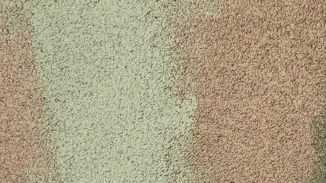 paint swatches