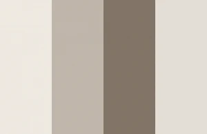 Color palette with four colors: SW 7001 Marshmallow, SW 7030 Anew Gray, SW 7514 Foothills, SW 7028 Incredible White.