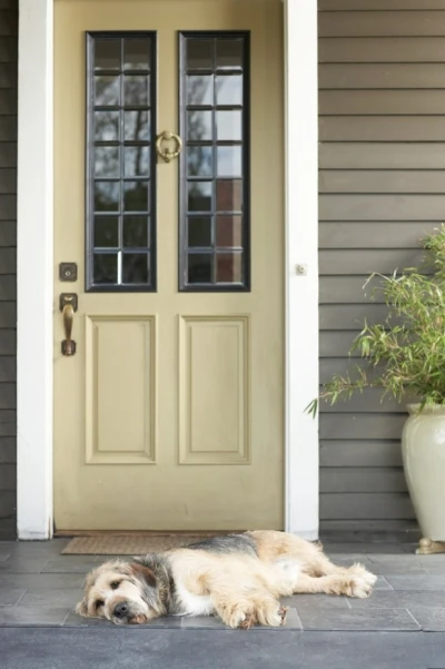 Dog Relaxing in Front of a Clean Front Porch.