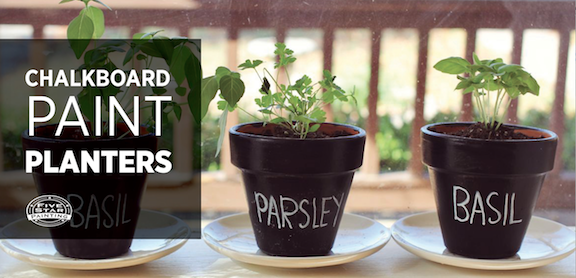 Three potted herbs with text: Chalkboard paint planters.