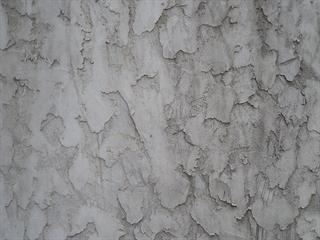 Guide to Painting Stucco: Prime and Paint the Stucco Guide to Painting Stucco: Prime and Paint the Stucco